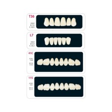 Зубы - Набор зубов 4