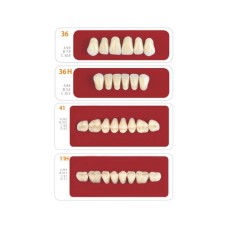 Зубы - Набор зубов 6