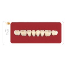 Зубы - Зубы Uniсryl 11H