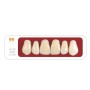 Зубы - Зубы Uniсryl 99