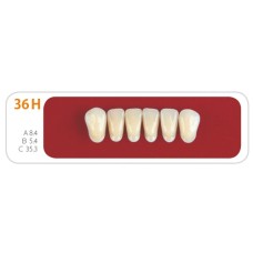 Зубы - Зубы Uniсryl 36H