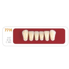 Зубы - Зубы Uniсryl 77H