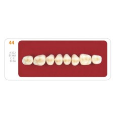 Зубы - Зубы Uniсryl 44