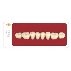 Зубы - Зубы Uniсryl 45H