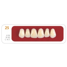 Зубы - Зубы Uniсryl 25