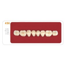 Зубы - Зубы Uniсryl 41H