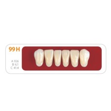 Зубы - Зубы Uniсryl 99H