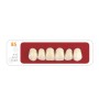 Зубы - Зубы Uniсryl 85