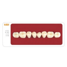 Зубы - Зубы Uniсryl 44H