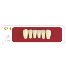 Зубы - Зубы Uniсryl 57H