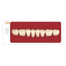 Зубы - Зубы Uniсryl 13H