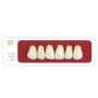 Зубы - Зубы Uniсryl 57