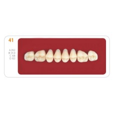 Зубы - Зубы Uniсryl 41