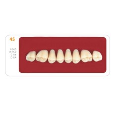 Зубы - Зубы Uniсryl 45