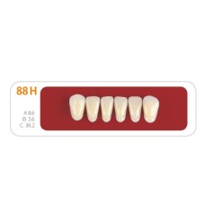 Зубы - Зубы Uniсryl 88H