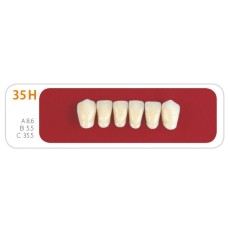 Зубы - Зубы Uniсryl 35H