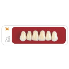 Зубы - Зубы Uniсryl 36