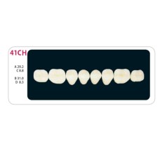 Зубы - Зубы Uniсryl Plus 41CH