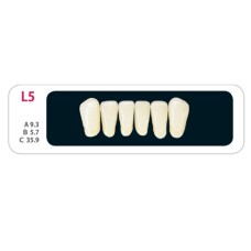 Зубы - Зубы Uniсryl Plus L5