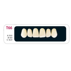 Зубы - Зубы Uniсryl Plus T66
