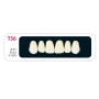 Зубы - Зубы Uniсryl Plus T56