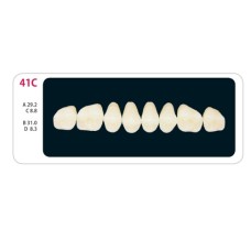 Зубы - Зубы Uniсryl Plus 41C