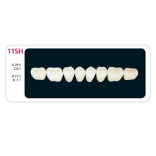 Зубы - Зубы Uniсryl Plus 11SH