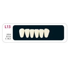Зубы - Зубы Uniсryl Plus L13