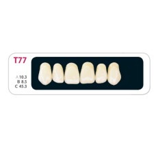 Зубы - Зубы Uniсryl Plus T77