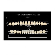 GLORIA NEW ACE зубы акриловые двухслойные, полный гарнитур Т2, М30 (28шт)