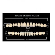 GLORIA NEW ACE зубы акриловые двухслойные, полный гарнитур Т4, М30 (28шт)