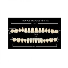 GLORIA NEW ACE зубы акриловые двухслойные, полный гарнитур ТL4, М32/34 (28шт)