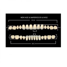 GLORIA NEW ACE зубы акриловые двухслойные, полный гарнитур 05, М32/34 (28шт)