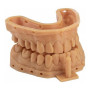 Фотополимерная смола Elegoo Dental Orthodontic UV Resin (Orange)